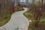 公园小路摄影图