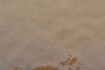 水