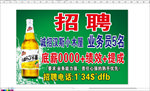 啤酒广告招聘