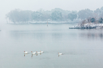 雪中太湖