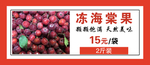 冻海棠果