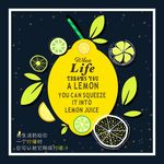 带上智慧努力活着