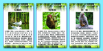 珍稀野生保护动物