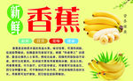 香蕉海报