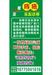 治痔