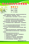 综合实践