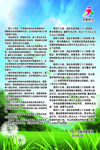 城市绿化制度