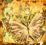 蝴蝶花纹