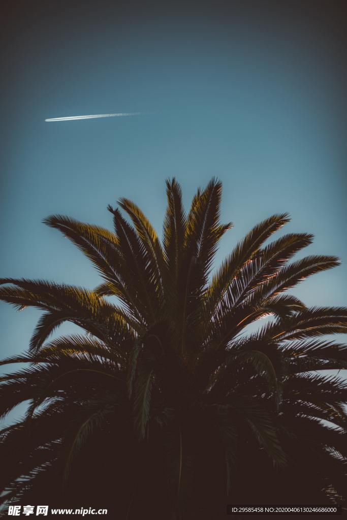 唯美风景