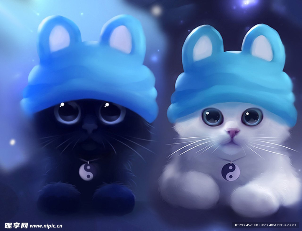 萌宠小猫咪