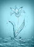 水滴