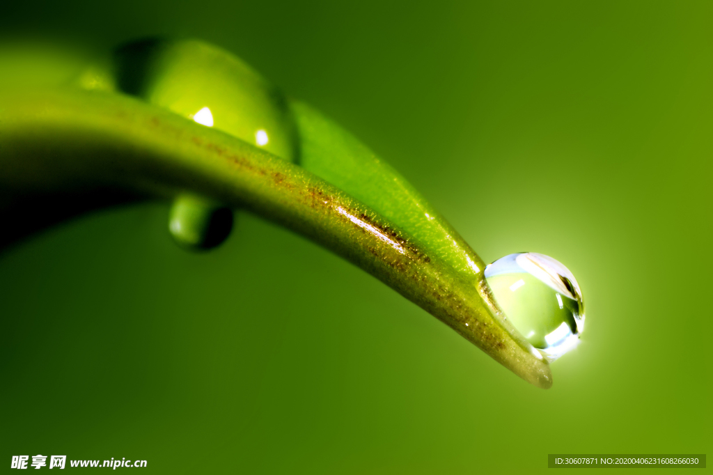 露水