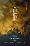24节气立秋宣传海报