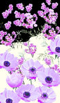 粉色花