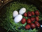 地菜红枣煮蛋