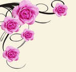 玫瑰花
