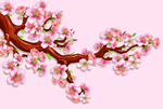 花图