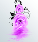 玫瑰花