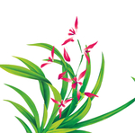 花