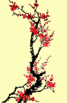 梅花