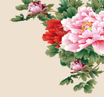 牡丹花