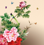 牡丹花