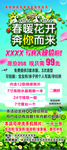 春天  春天促销海报
