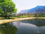 乡村景观