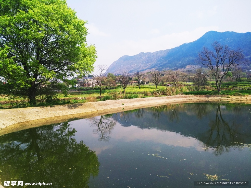 乡村景观