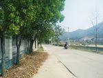 绿化景观