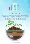 谷雨