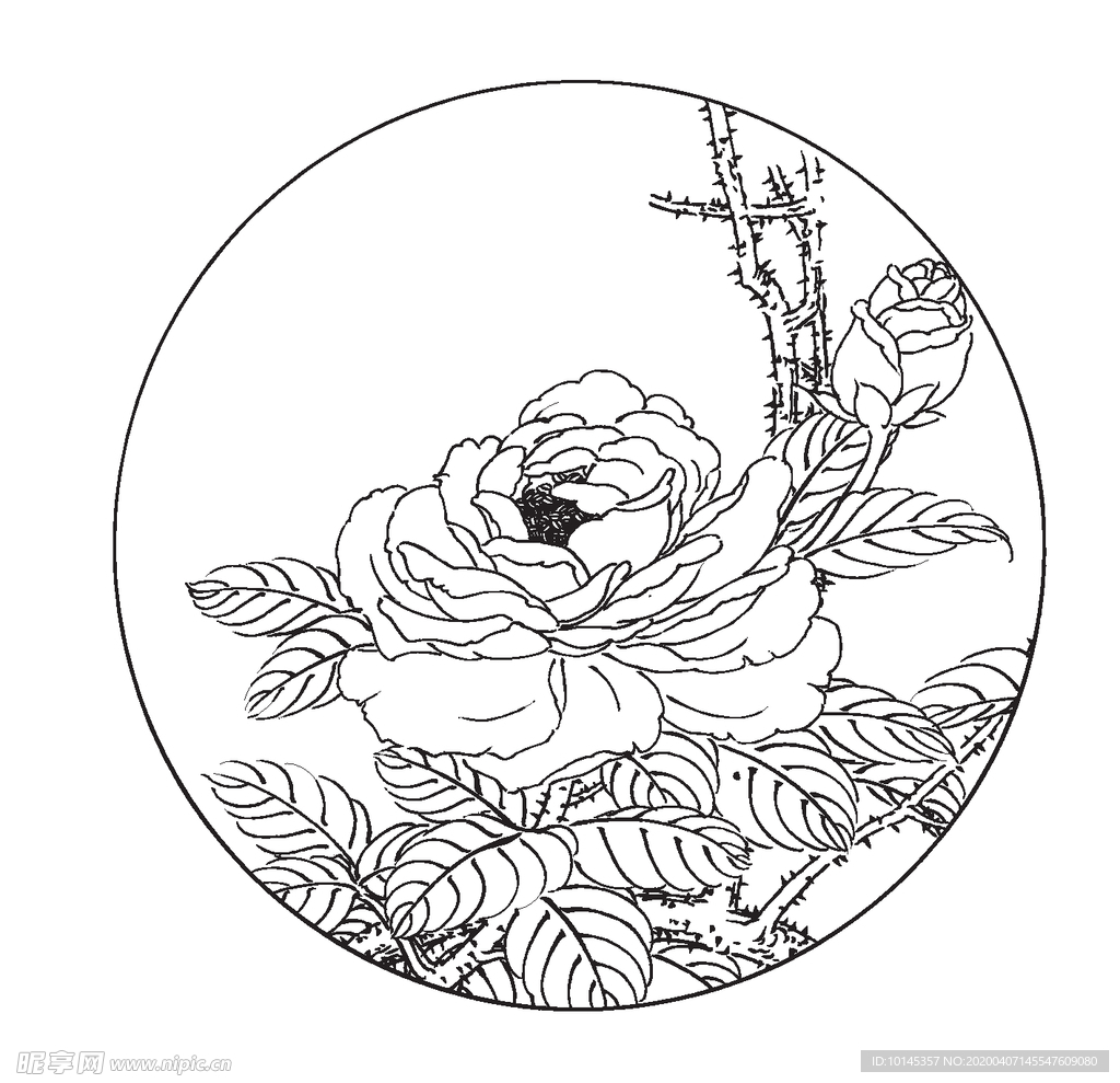 玫瑰