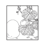 葫芦