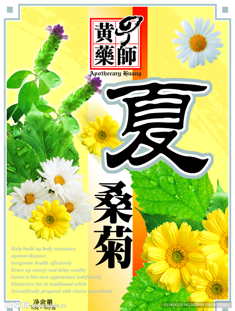 夏桑菊   平面图