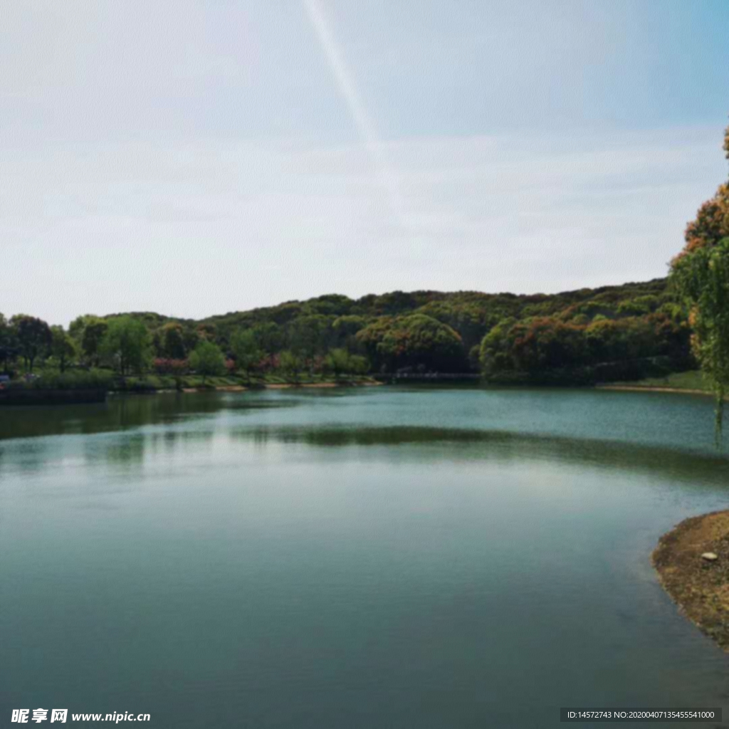 油画风景