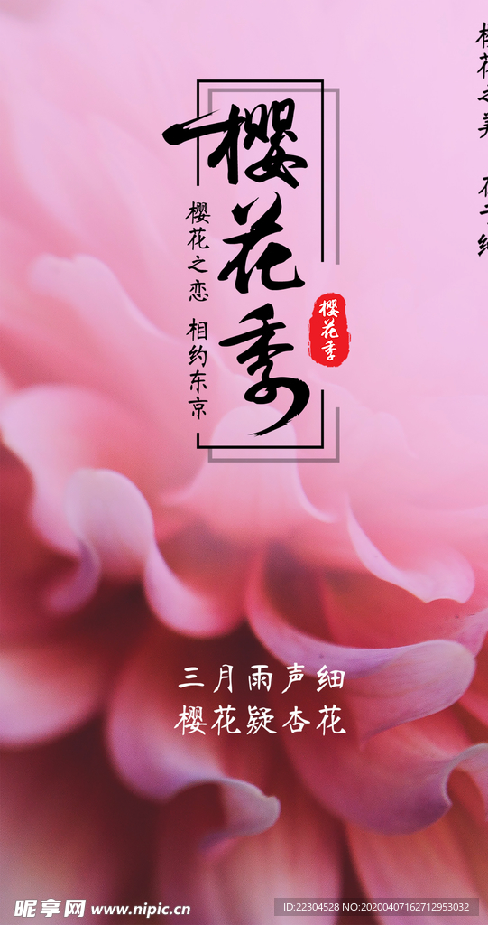 樱花季节