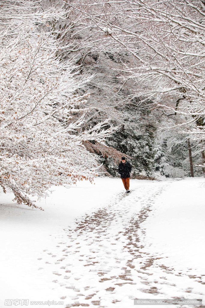 冬季的雪景