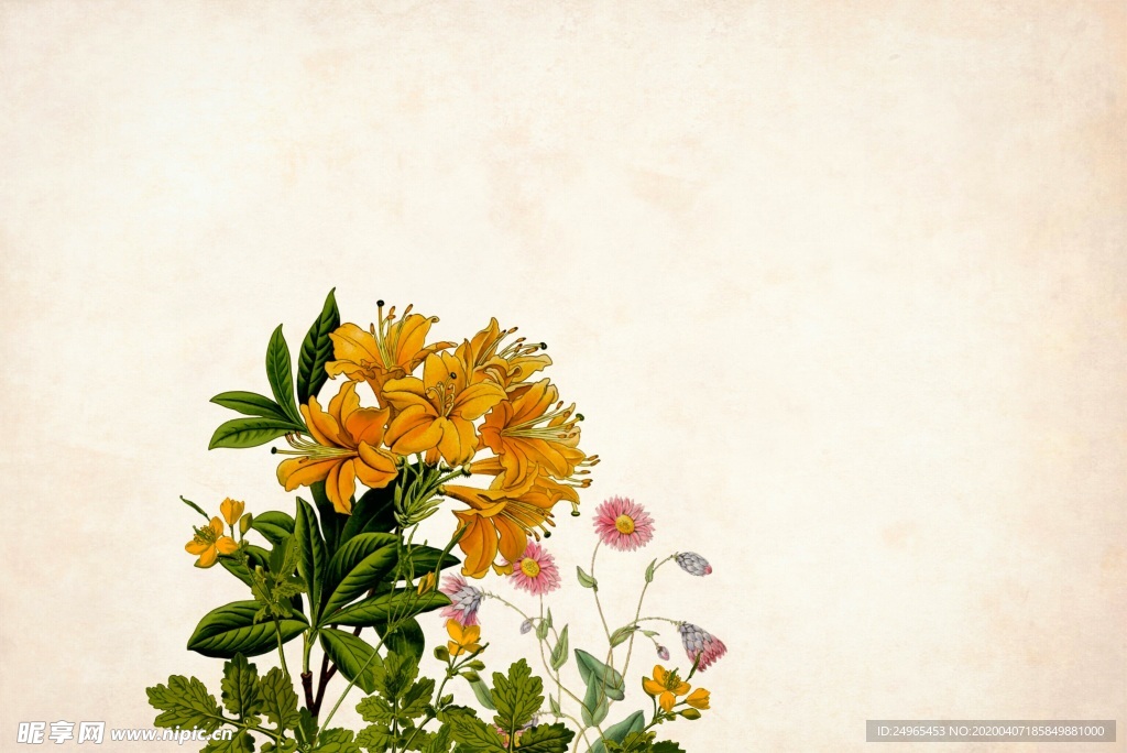 花朵植物背景图