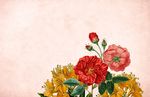 花环花朵背景图