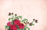 花环花朵背景图