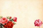 花朵花纹背景图