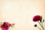花纹花朵北背景图