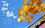夏季