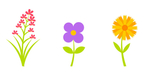 花