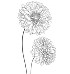 花