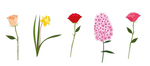 花
