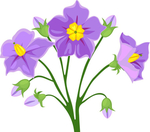 花