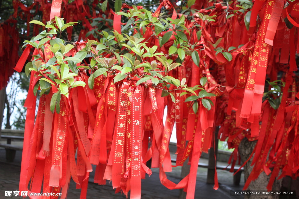 许愿树