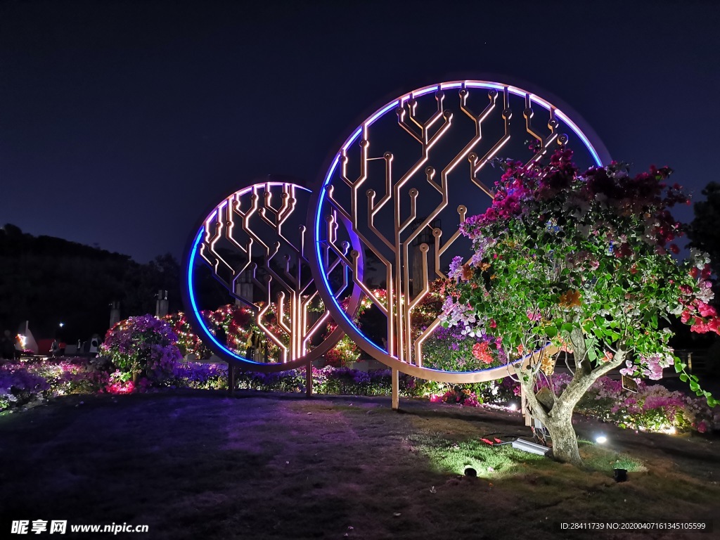2019深圳杜鹃展
