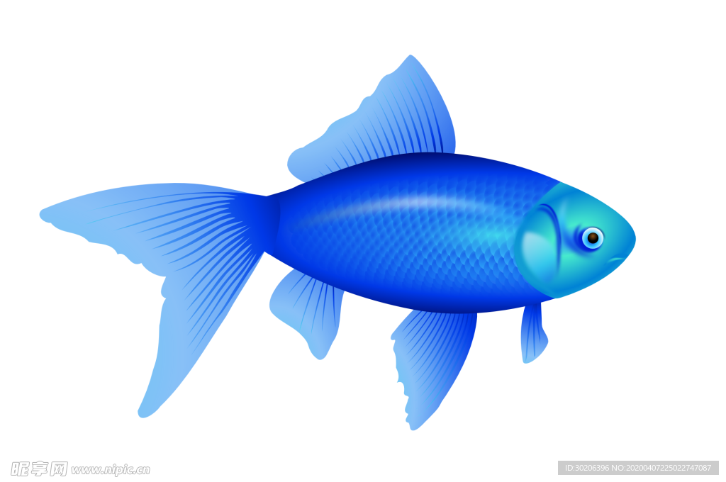 免抠PNG图蓝色鱼动物
